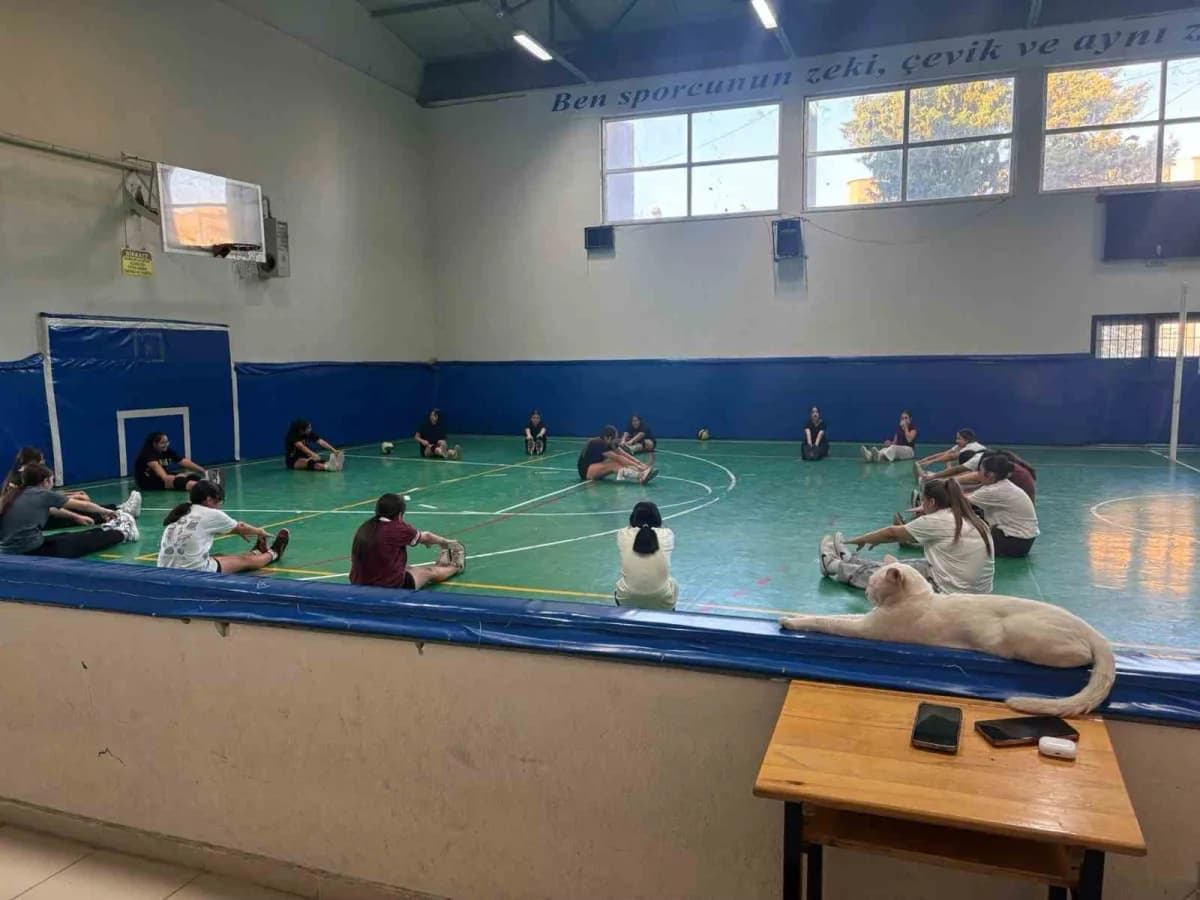 Denizli’de öğrencilerin sportif faaliyetlere katılımını teşvik etmek amacıyla kurulan lise kız voleybol takımı, ilk antr