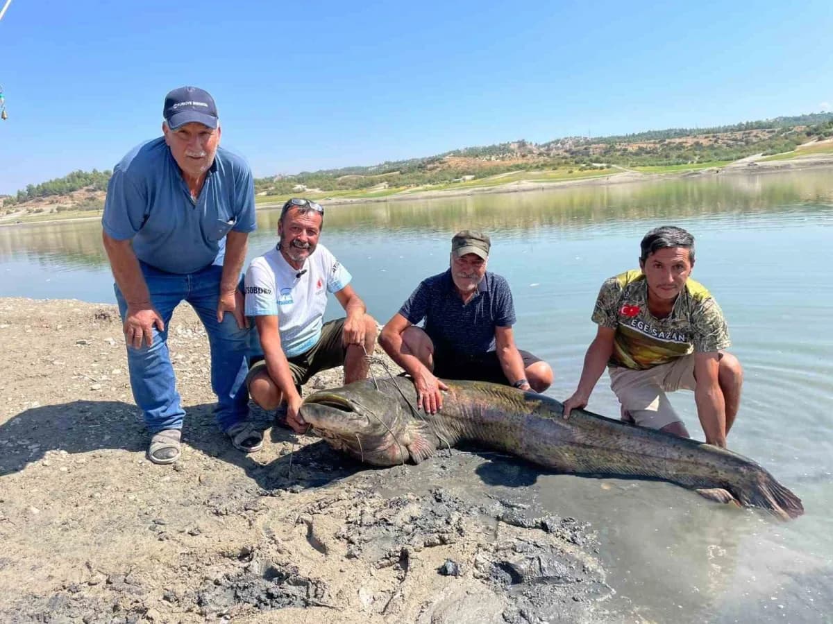 Denizli Recep Yazıcıoğlu Barajı’nda balık tutan üç amatör balıkçı, yaklaşık 120 ve 85 kilo olduğunu tahmin edilen iki ya