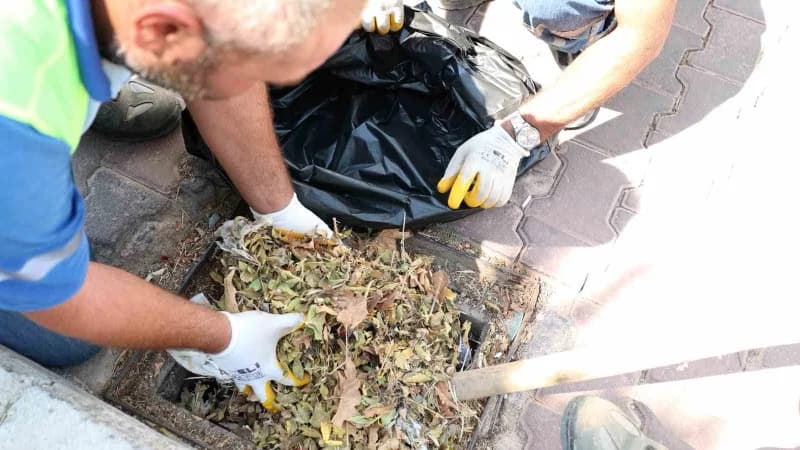 Didim Belediyesi’nden mazgal temizliği