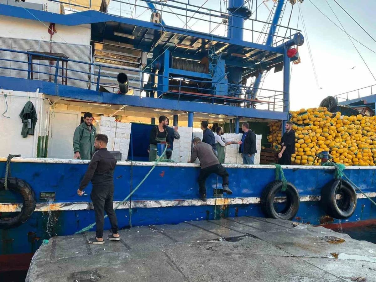 Didim’de hamsi kotası denetimleri yapan Tarım ve Orman Müdürlüğü ekipleri