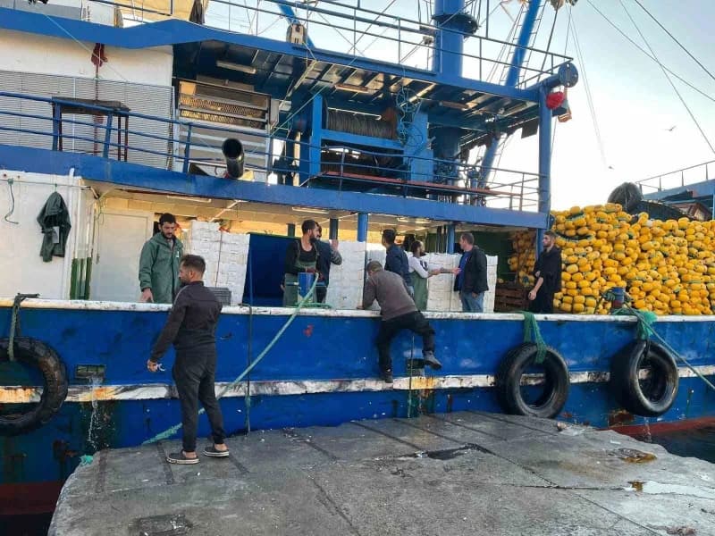 Didim’de hamsi kotası denetimleri yapan Tarım ve Orman Müdürlüğü ekipleri