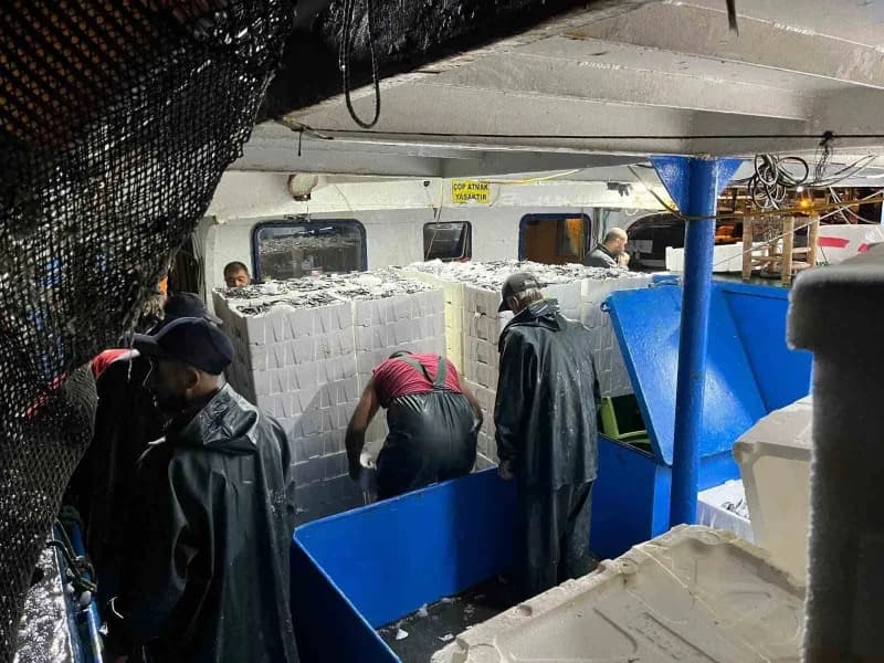 Aydın’ın Didim ilçesinde, 2026-2027 su ürünleri av sezonu kapsamında uygulanan hamsi kotasına yönelik denetimler devam e