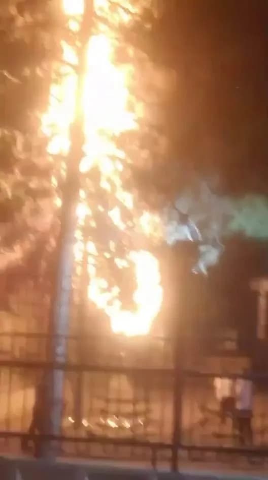 Diyarbakır’ın Kayapınar ilçesinde atılan havai fişekler site içerisindeki ağaca isabet edip yanmasına neden oldu. Yangın