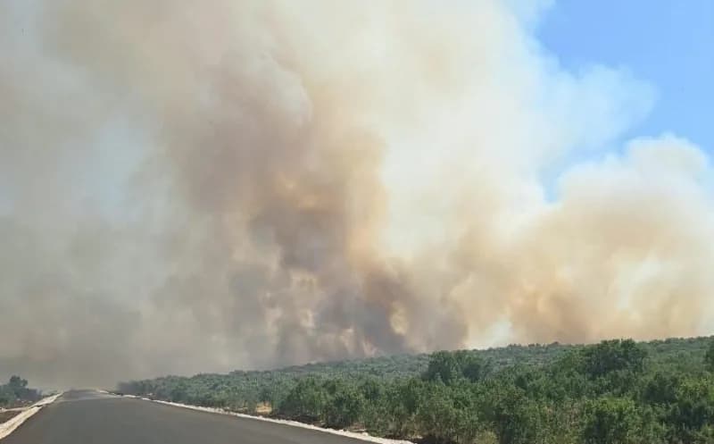 Diyarbakır’ın Silvan ile Lice ilçeleri arasındaki ormanlık alanda çıkan yangın, ekiplerin yoğun müdahalesi ile kontrol a