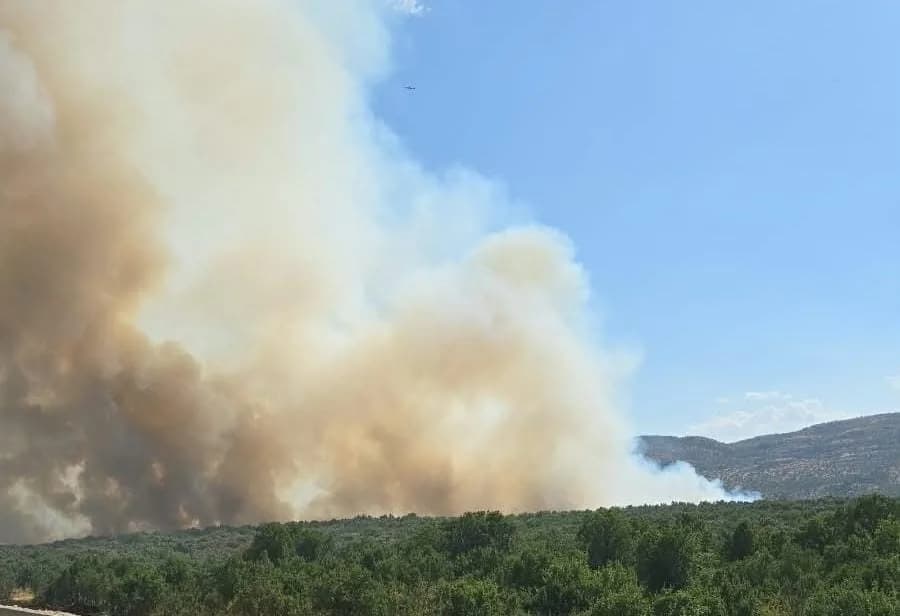 Diyarbakır Silvan ve Lice ilçeleri arasındaki ormanlık alanda çıkan yangına müdahale eden itfaiye ekipleri