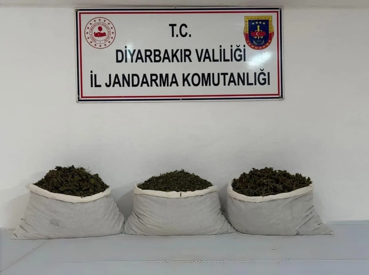 Diyarbakır’da jandarma ekiplerinin düzenlediği uyuşturucu operasyonunda ele geçirilen kenevir kökleri ve esrar paketleri