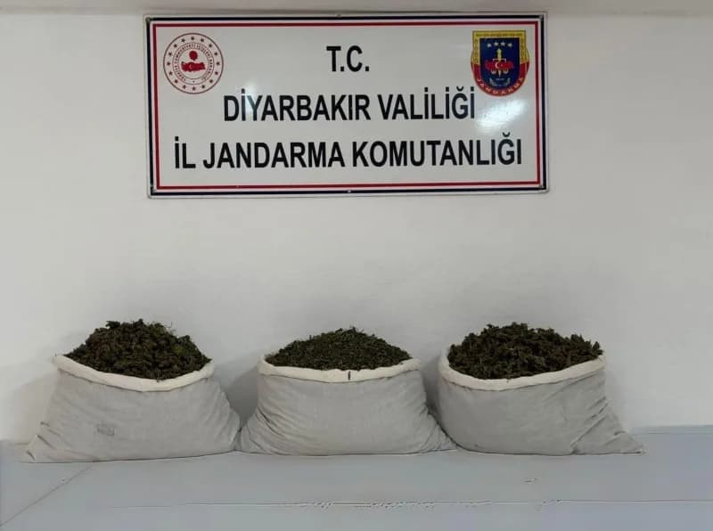 Diyarbakır’da jandarma ekiplerinin düzenlediği uyuşturucu operasyonunda ele geçirilen kenevir kökleri ve esrar paketleri