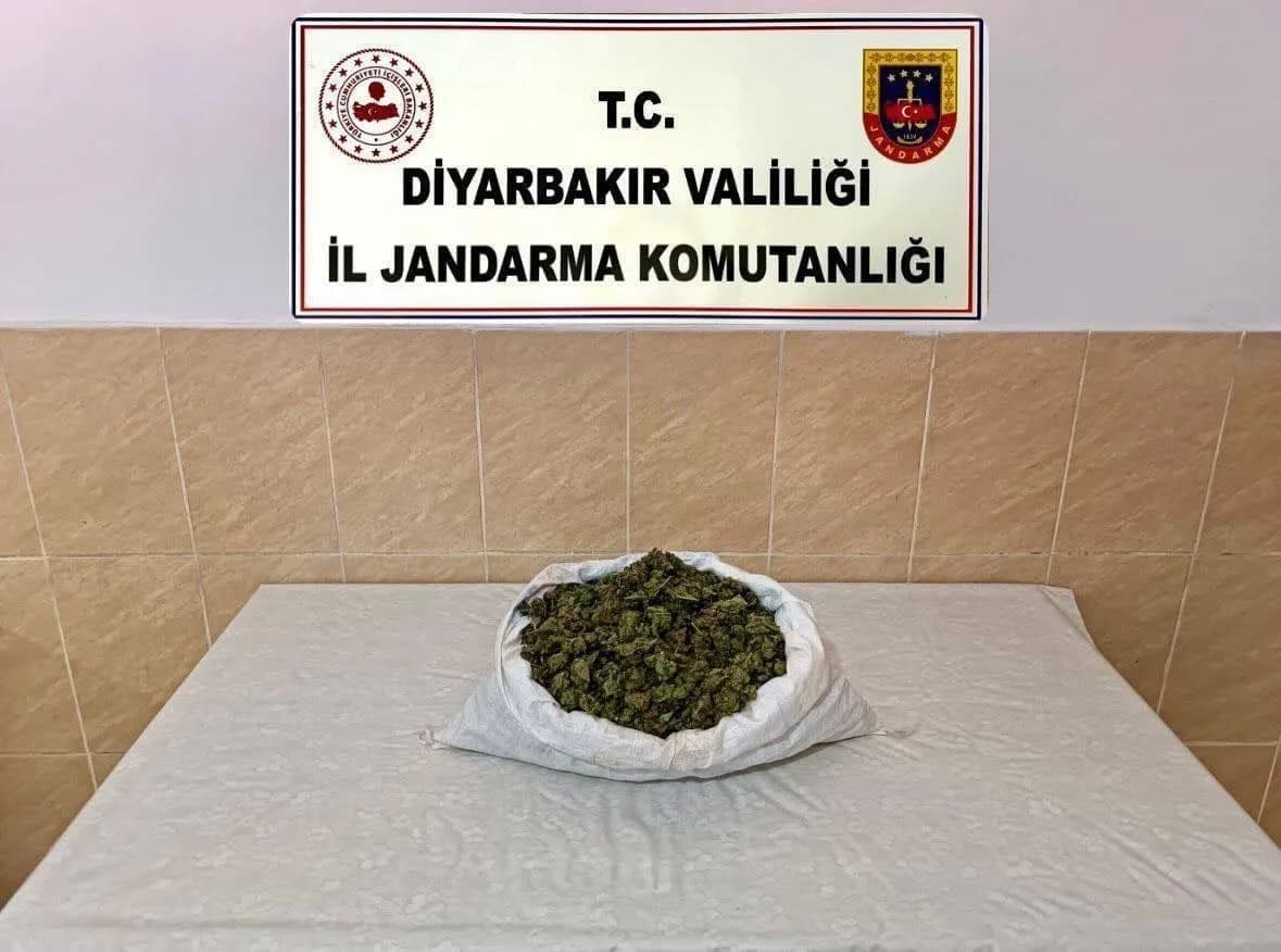 Diyarbakır’da Jandarma ekiplerince düzenlenen operasyonlarda, 253 bin 752 kök kenevir, 42 kilo 600 gram esrar ele geçiri