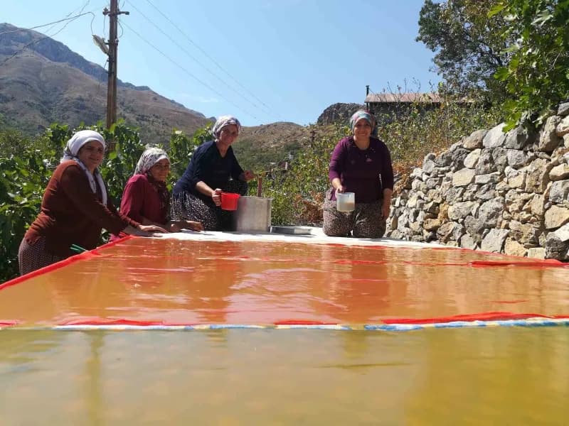 Kemaliye’de kadınlar pestili imece usulü hazırlıyor