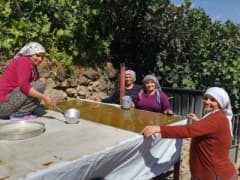 Kemaliye’de kadınlar imece usulüyle dut pestili hazırlıyor, geleneksel yöntemlerle pestil kurutuluyor