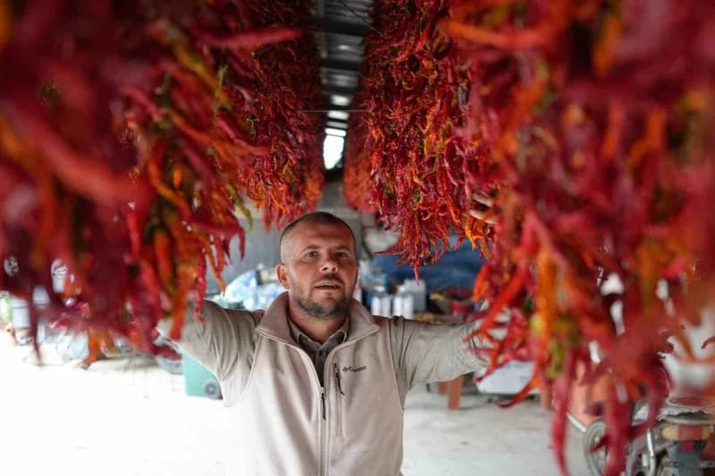 Karaağaç biberinin üreticilerinden Tunahan Ule