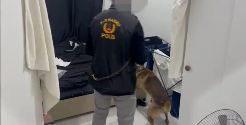 Edirne’de narkotik ekiplerinin uyuşturucu operasyonunda ele geçirilen skunk, kokain, para ve hassas teraziler