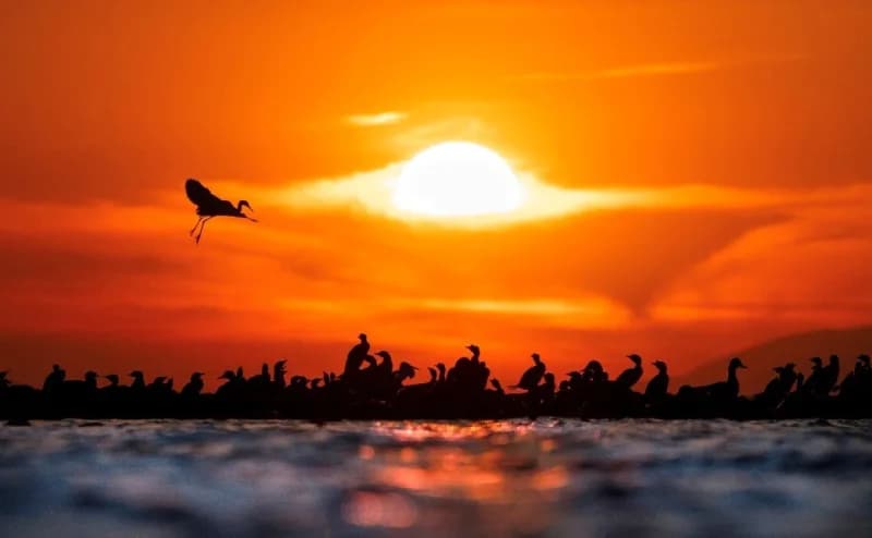 İznik Belediyesi tarafından düzenlenen Ekinoks 2026 Fotoğrafçılar Maratonunda çekilen 837 Fotoğraf değerlendirmeye alınd