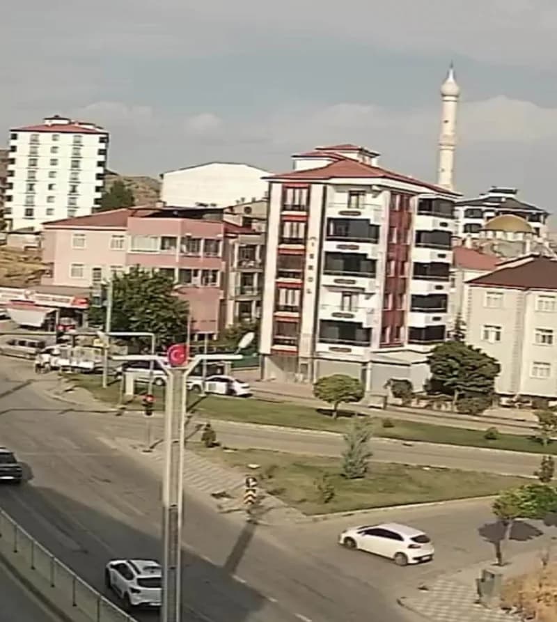 Elazığ Ulukent Mahallesi'nde el freni çekilmeyen otomobil cadde boyunca ilerleyip tarlaya uçtuğu an