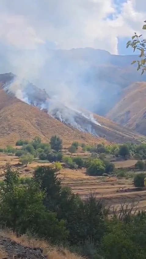 Elazığ’ın Palu ilçesindeki Akdağ’da bulunan mera alanında çıkan yangına müdahale sürüyor