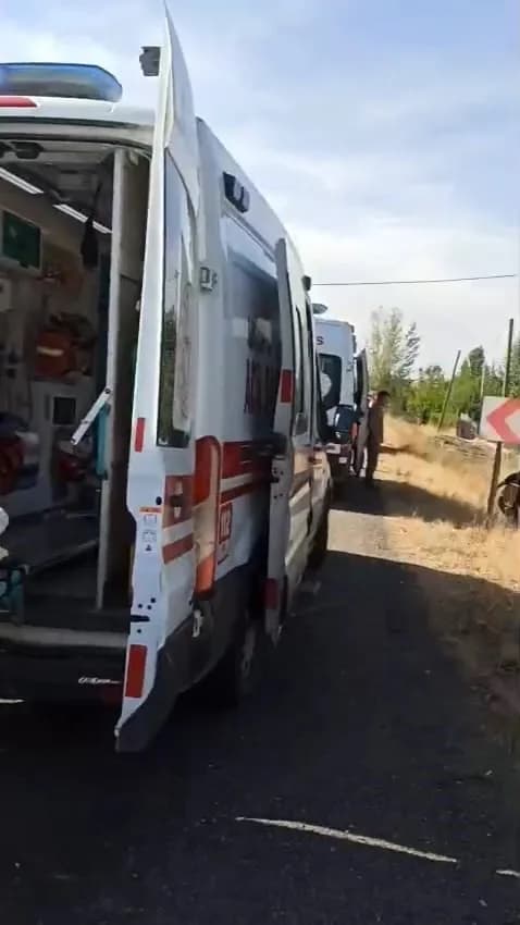 Elazığ’da aracın şarampole devrilmesi sonucu meydana gelen kazada, 2 kişi yaralandı