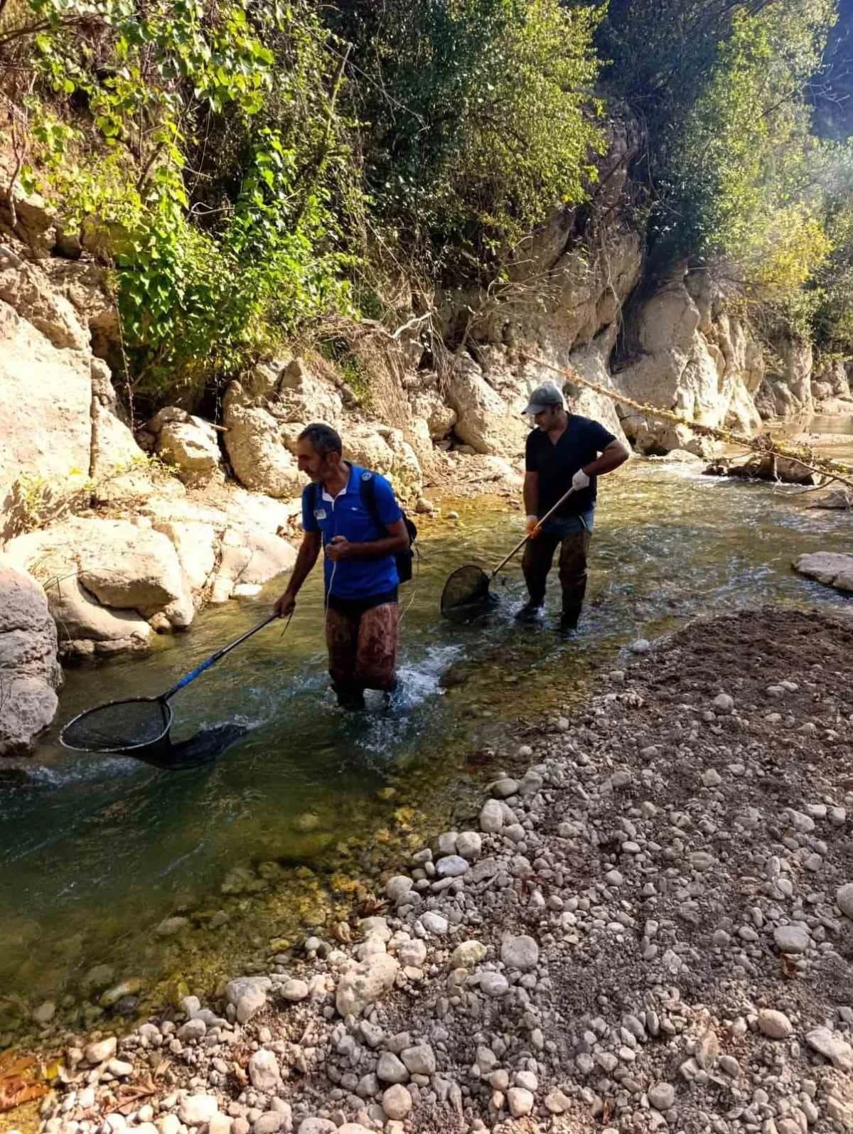 Elazığ'da Biyoçeşitlilik çalışmaları