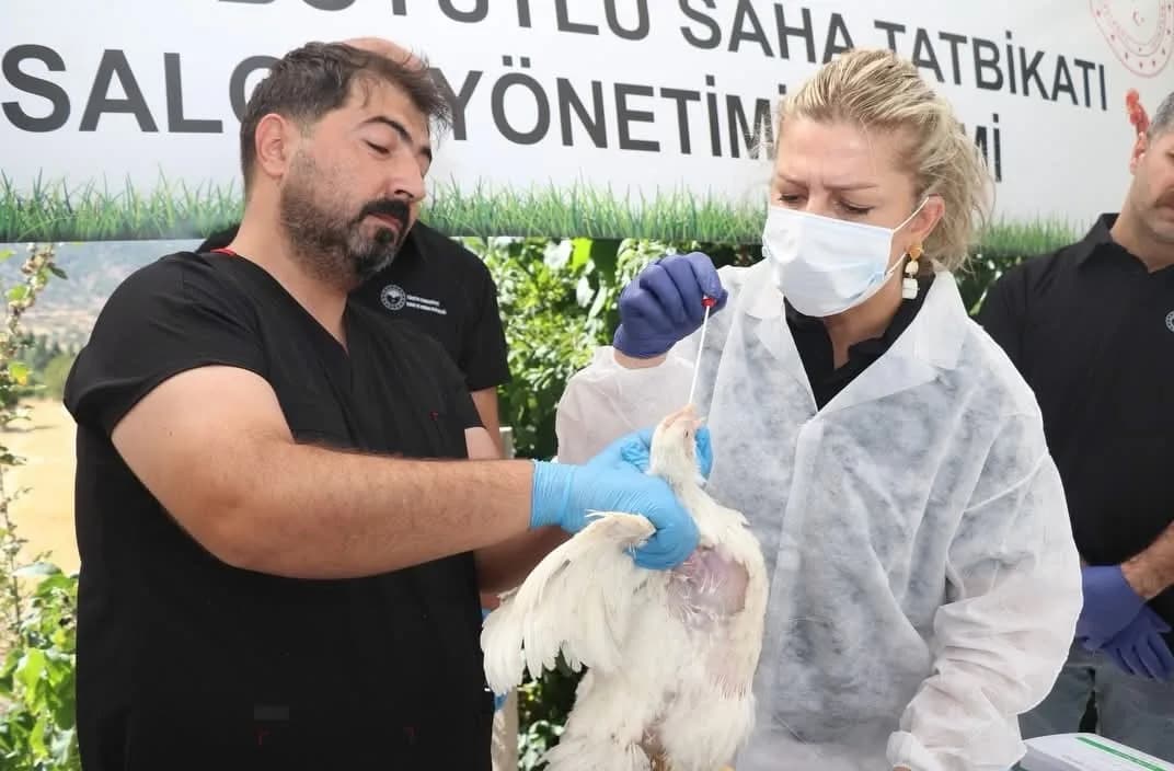 Elazığ’da kuş gribi hastalığına karşı saha uygulamalı eğitim sırasında katılımcılar çalışıyor