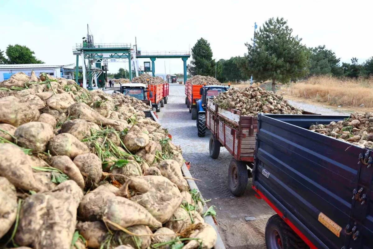 Türkşeker Elazığ Şeker Fabrikası, 2026-2027 Dönemi 71. Şeker Pancarı Alımı ve İşleme Kampanyası'nı düzenlenen törenle ba