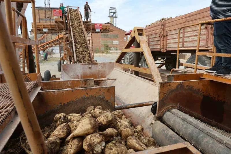 Türkşeker Elazığ Şeker Fabrikası, 2026-2027 Dönemi 71. Şeker Pancarı Alımı ve İşleme Kampanyası'nı düzenlenen törenle ba