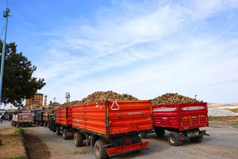 Türkşeker Elazığ Şeker Fabrikası, 2026-2027 Dönemi 71. Şeker Pancarı Alımı ve İşleme Kampanyası'nı düzenlenen törenle ba