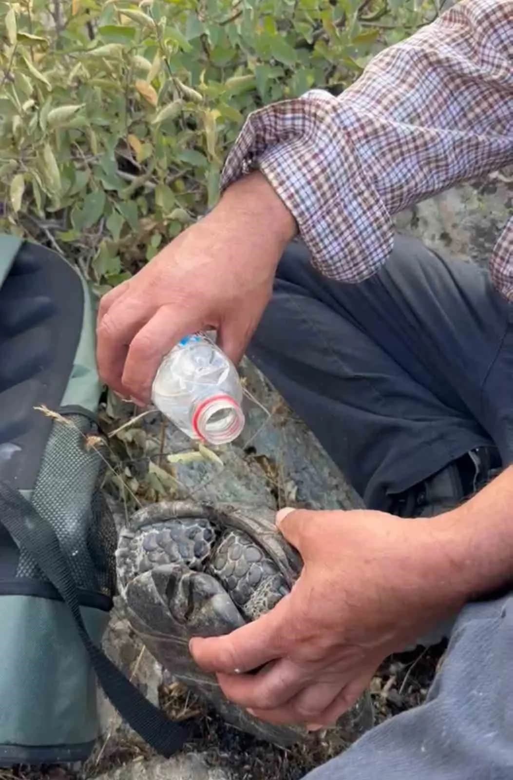 Elazığ Palu’da yangından kaçan kaplumbağaya vatandaşlar su dökerek yardım ediyor