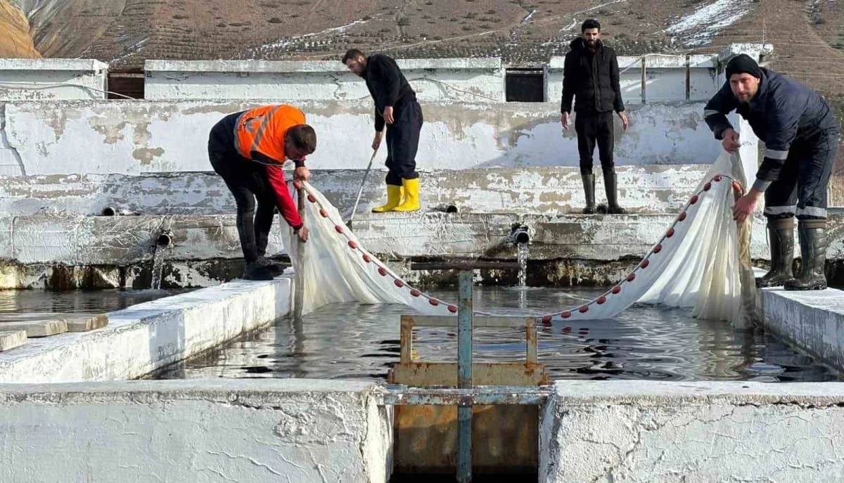 Erzincan’da su kaynakları üzerine kurulu 16 tesiste yıllık 3 bin 132 ton alabalık ve 55 milyon 150 bin adet alabalık yav