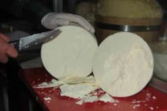 Erzincan Tulum Peyniri ve bilimsel çalışma sunumu yapılan uluslararası kongre