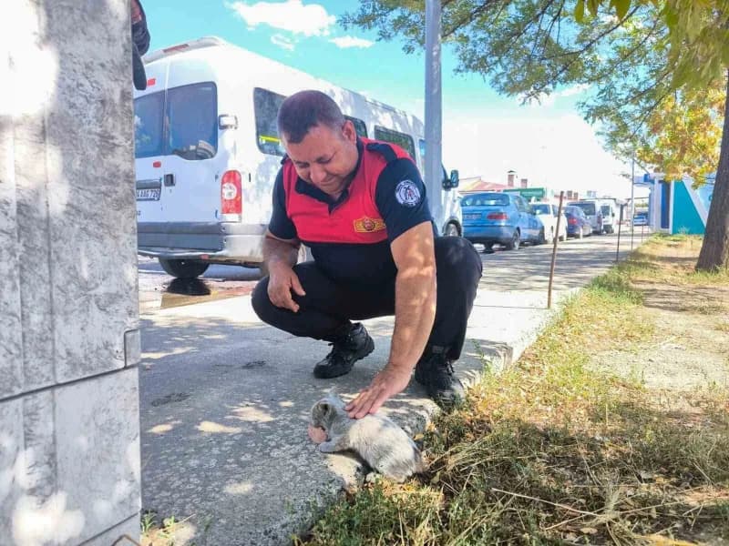 Erzincan’da araç motorunda mahsur kalan yavru kedi kurtarıldı
