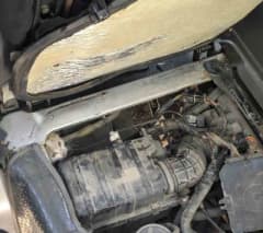 Erzincan Yeni Sanayi Sitesi’nde aracın motor kısmında mahsur kalan yavru kedi itfaiye ekipleri tarafından kurtarılıyor