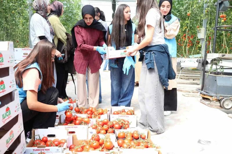 Aile ve Sosyal Hizmetler Bakanlığı Çocuk Hizmetleri Genel Müdürlüğü koordinesinde, COP31 hazırlıkları kapsamında 81 ilde