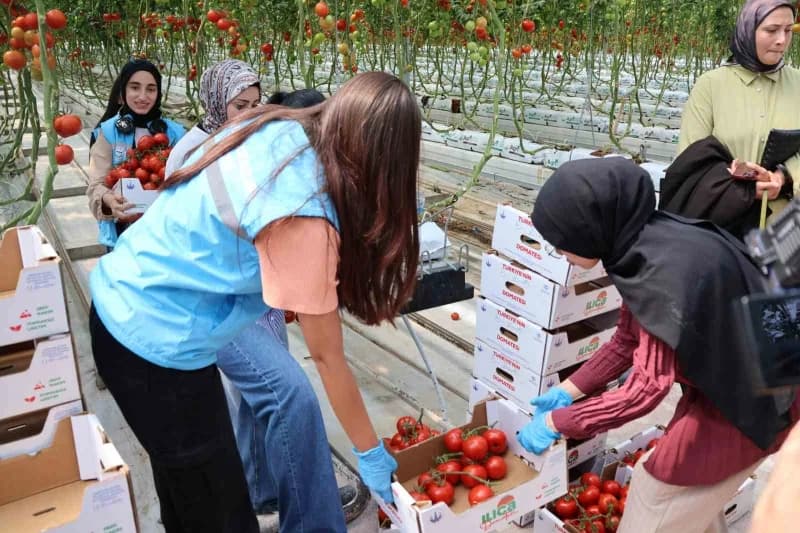 Aile ve Sosyal Hizmetler Bakanlığı Çocuk Hizmetleri Genel Müdürlüğü koordinesinde, COP31 hazırlıkları kapsamında 81 ilde