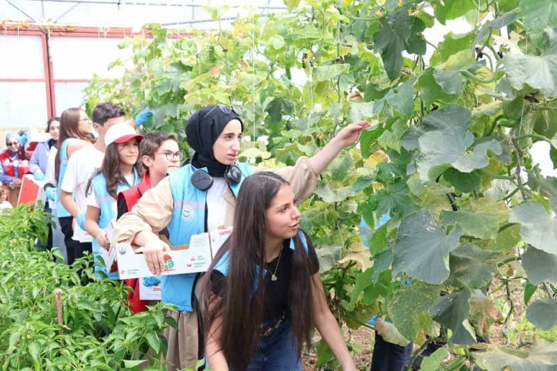Aile ve Sosyal Hizmetler Bakanlığı Çocuk Hizmetleri Genel Müdürlüğü koordinesinde, COP31 hazırlıkları kapsamında 81 ilde