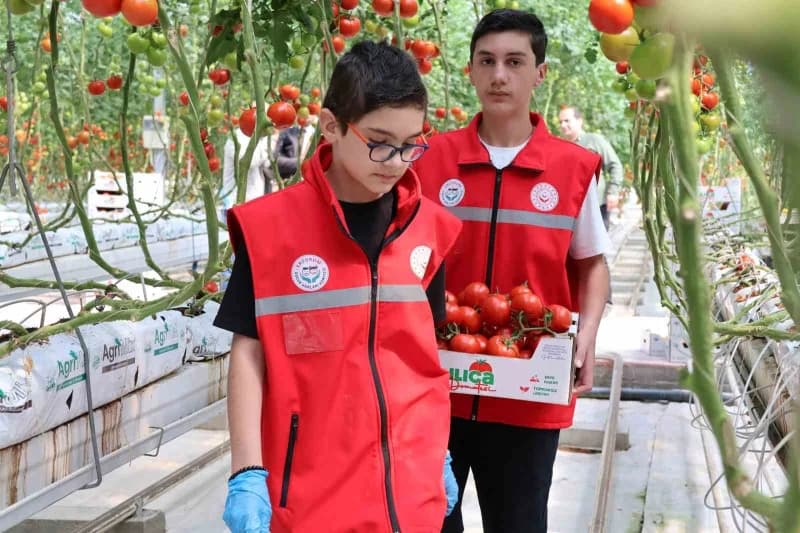 Aile ve Sosyal Hizmetler Bakanlığı Çocuk Hizmetleri Genel Müdürlüğü koordinesinde, COP31 hazırlıkları kapsamında 81 ilde