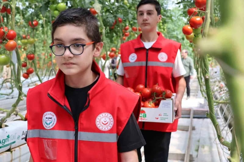 Aile ve Sosyal Hizmetler Bakanlığı Çocuk Hizmetleri Genel Müdürlüğü koordinesinde, COP31 hazırlıkları kapsamında 81 ilde