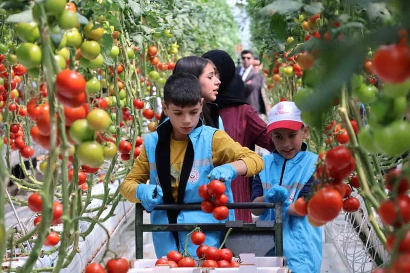 Aile ve Sosyal Hizmetler Bakanlığı Çocuk Hizmetleri Genel Müdürlüğü koordinesinde, COP31 hazırlıkları kapsamında 81 ilde