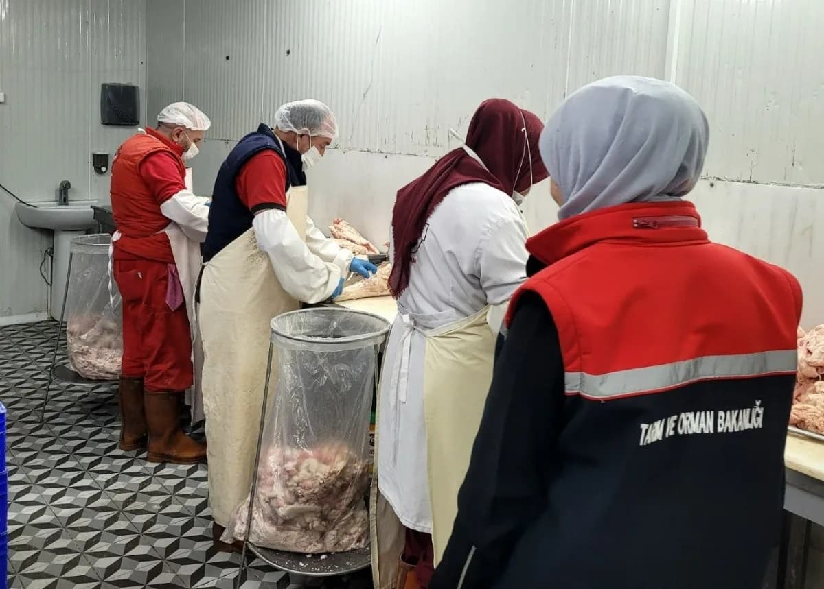 Erzurum İl Tarım ve Orman Müdürlüğü ekipleri, kent genelinde güvenilir Gıda arzını sağlamak amacıyla yürüttüğü denetim f
