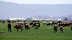 Erzurum’da kırsal kalkınma projeleri için hibe desteği açıklaması yapan yetkililer