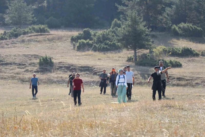 Erzurum Oltu ilçesinde sarıçam ormanları arasında doğa yürüyüşü yapan grup üyeleri