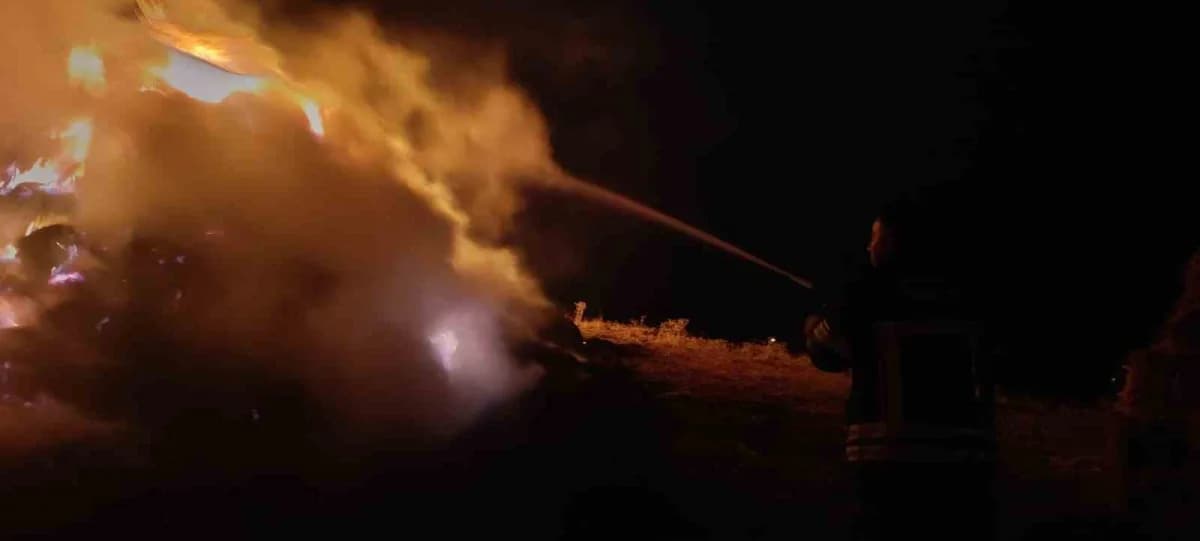 Erzurum’un Tekman ilçesinde çıkan yangında, bir vatandaşa ait yaklaşık 500 saman balyası yanarak kül oldu.