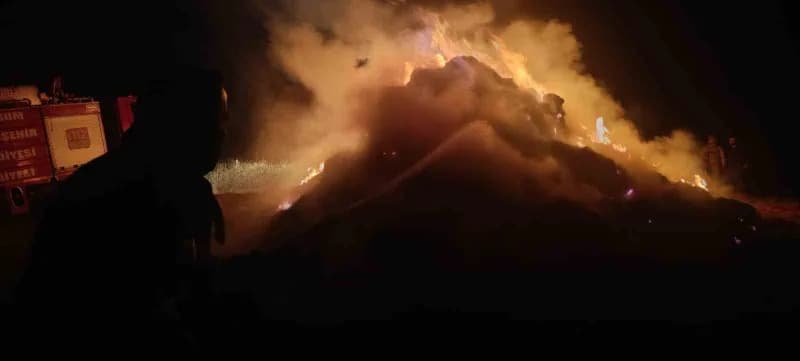 Erzurum’un Tekman ilçesinde çıkan yangında, bir vatandaşa ait yaklaşık 500 saman balyası yanarak kül oldu.