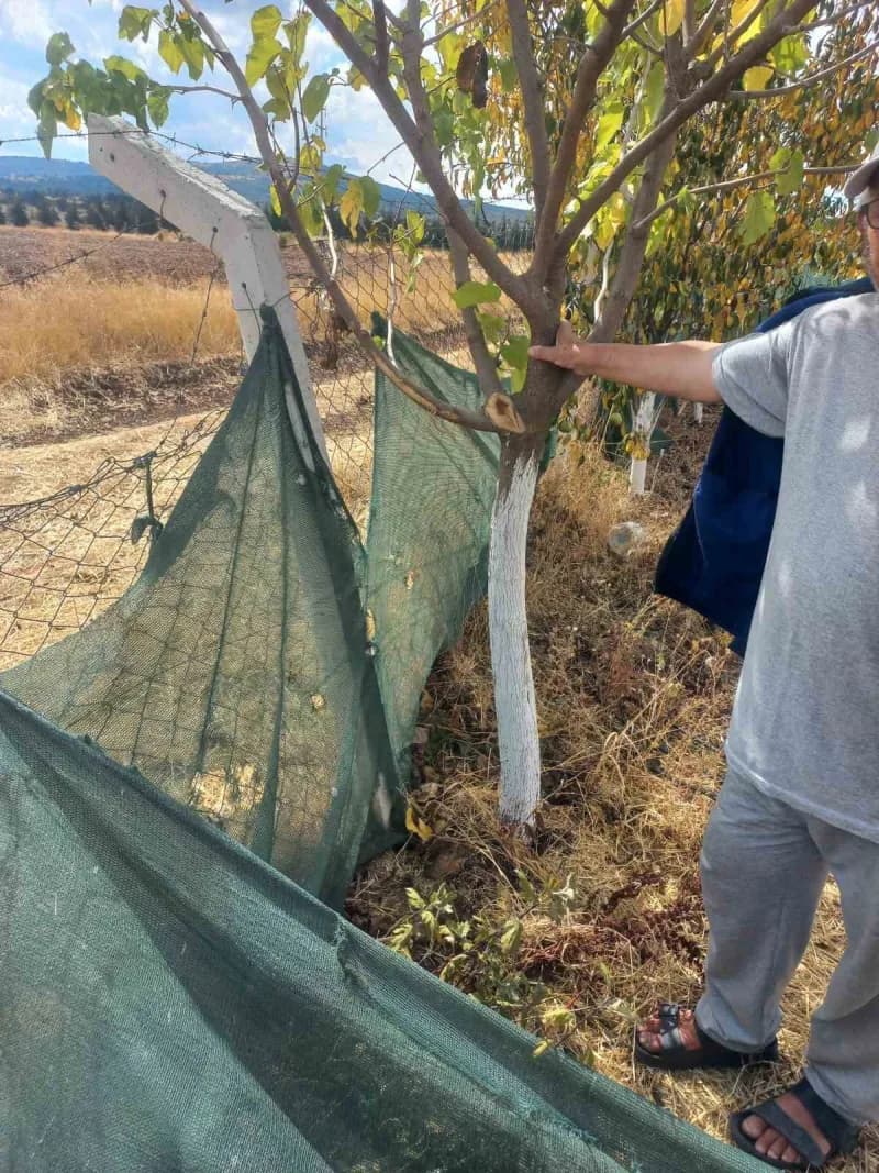 Eskişehir'de kimliği belirsiz kişi veya kişiler tarafından bahçe tellerine zarar verilen vatandaşlar şüphelilerin bulunm