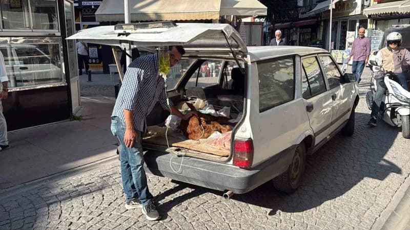 Musa Karakaya, buzağısının başından ayrılmadı