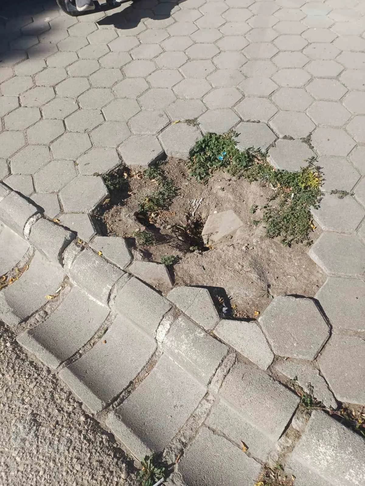Eskişehir'de kuruyan ağacın kesilmesi sonrası boşluk oluşan ve engelli vatandaşlara zorluk yaşatan kaldırımın onarılması