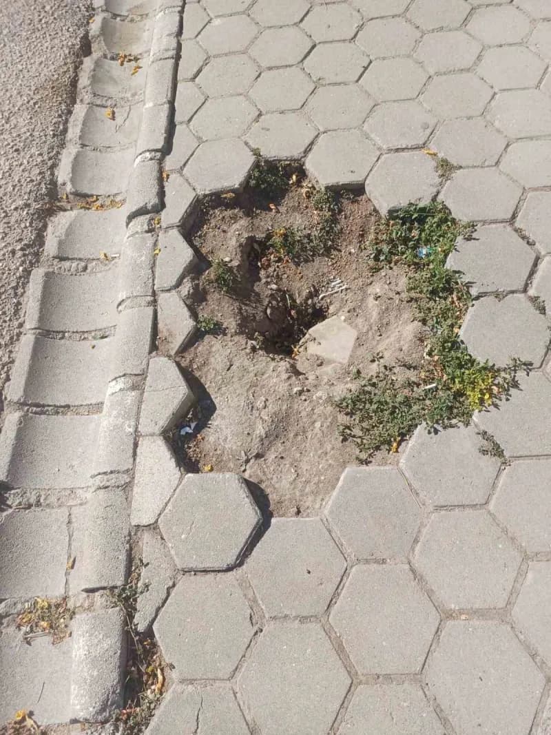Eskişehir'de kuruyan ağacın kesilmesi sonrası boşluk oluşan ve engelli vatandaşlara zorluk yaşatan kaldırımın onarılması