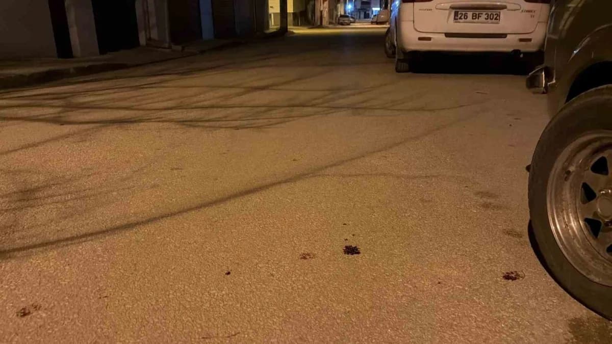 Eskişehir'de kız meselesi yüzünden çıkan kavgada 17 yaşındaki gencin bıçakla ağır yaralanmasına ilişkin görülen davada c