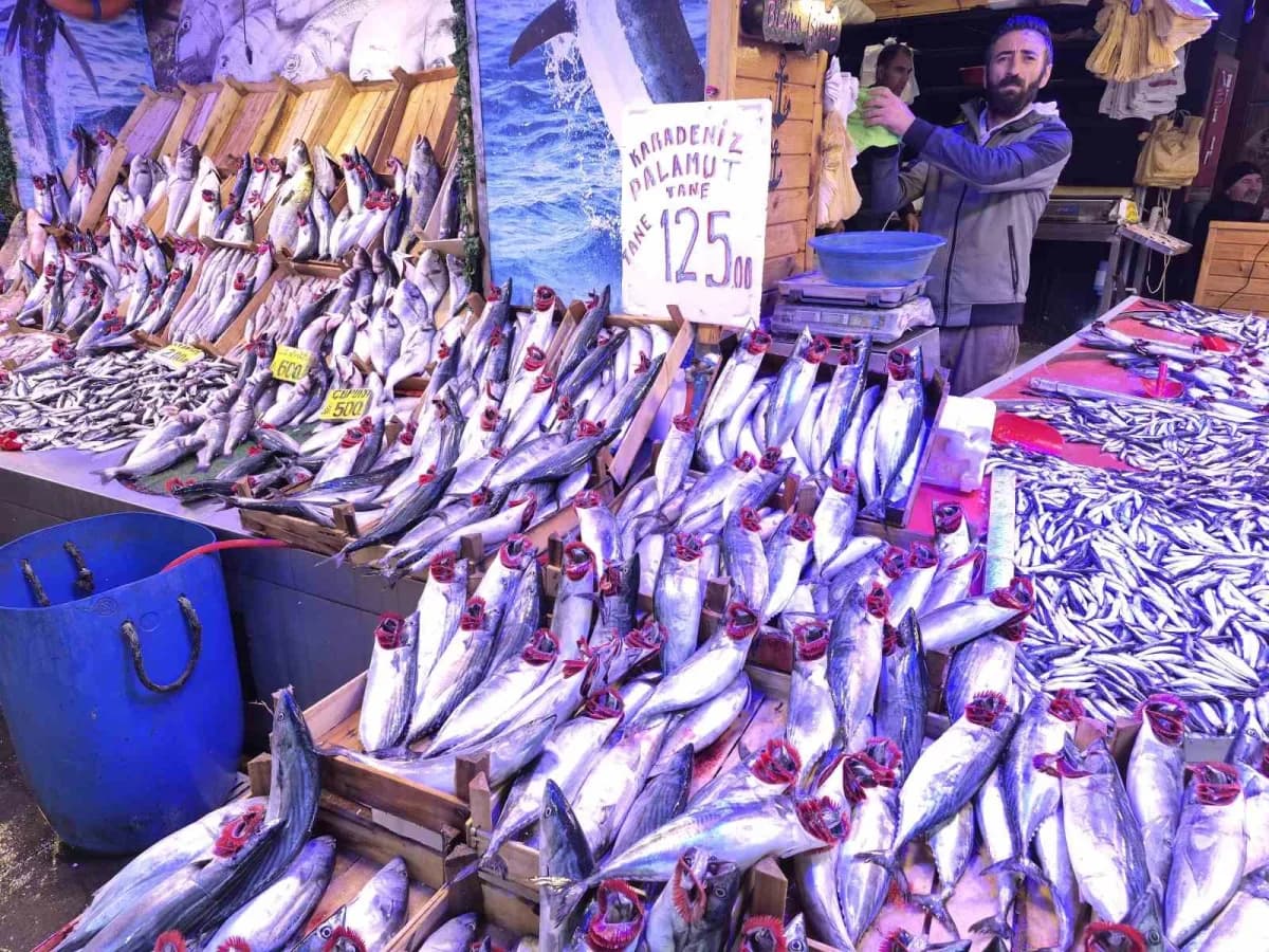 Eskişehir'de balıkçılık yapan Erkan Arslanbenzer, bu sene hem palamut hem de hamsinin bol olduğunu belirterek, "Böyle ol