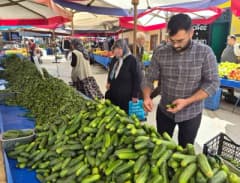 Eskişehir semt pazarında turşuluk kornişon salatalık tezgahı ve satış yapan esnaf