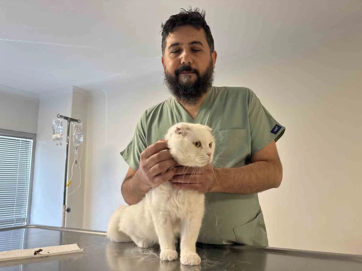 Veteriner Hekim Mustafa Sayın