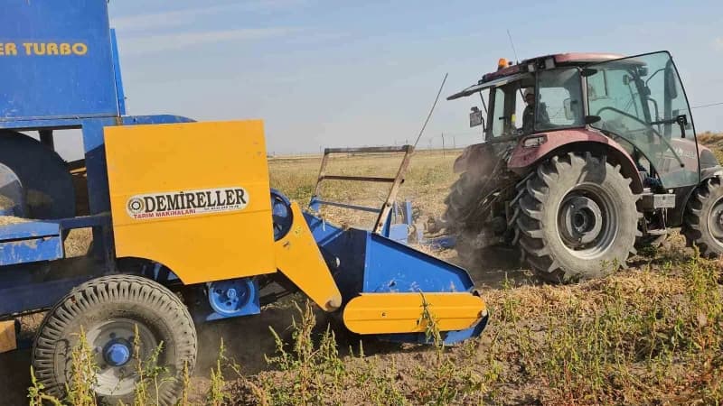 Bitlis'in Adilcevaz ilçesinde fasulyede hasat sezonu başladı.